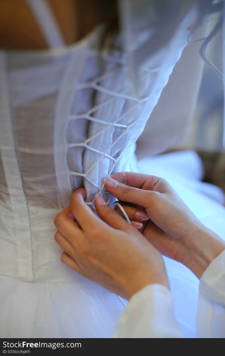 Hands helping with bride s corset