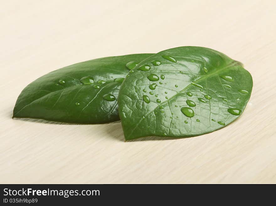 Two green leaves with water drops on wooden background