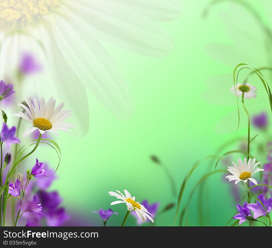 Blue campanulas with daisywheel on green background. Blue campanulas with daisywheel on green background