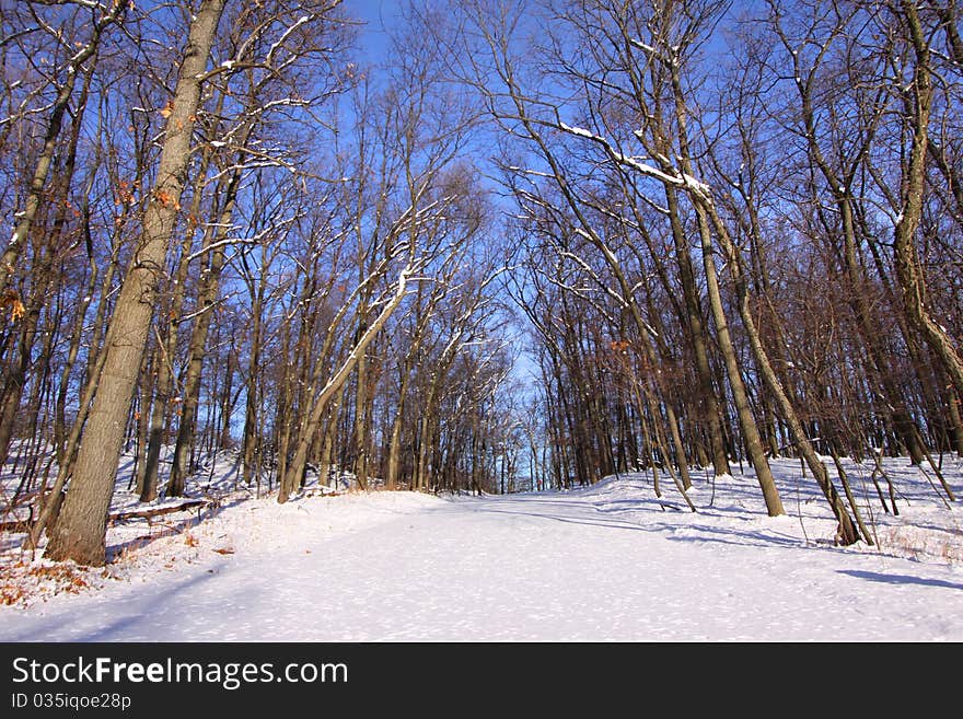 Country road through woods in winter time