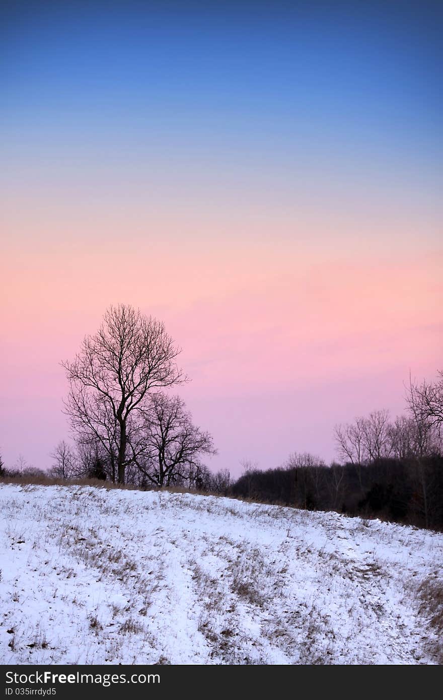 Trees in winter time with colorful sky background