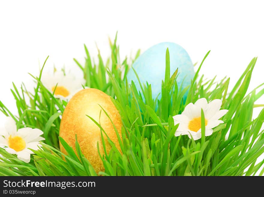 Easter eggs in green grass on white background