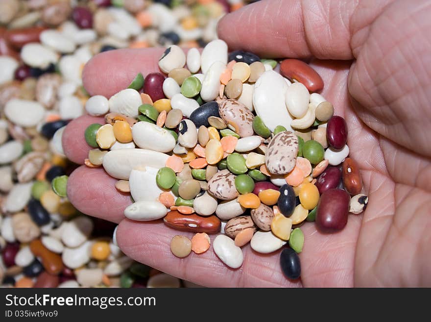 Mixed Dried Beans In Hand