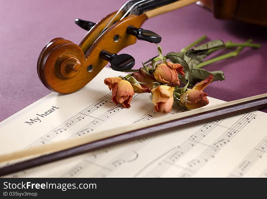 Sheet music, violin and dried roses. Sheet music, violin and dried roses