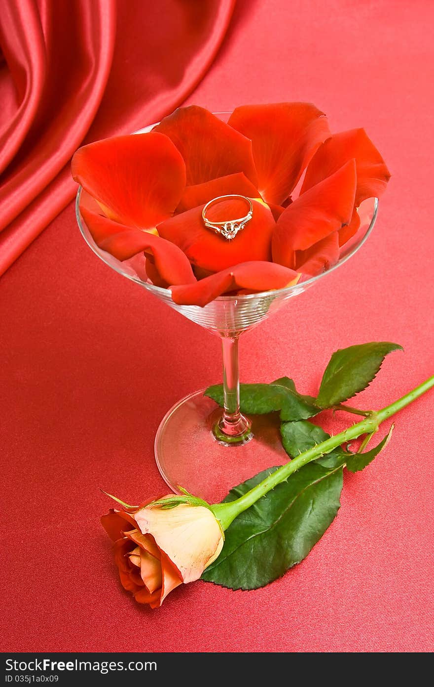 Petals and the ring in the glass for Martini. Rose on the red background. Petals and the ring in the glass for Martini. Rose on the red background.