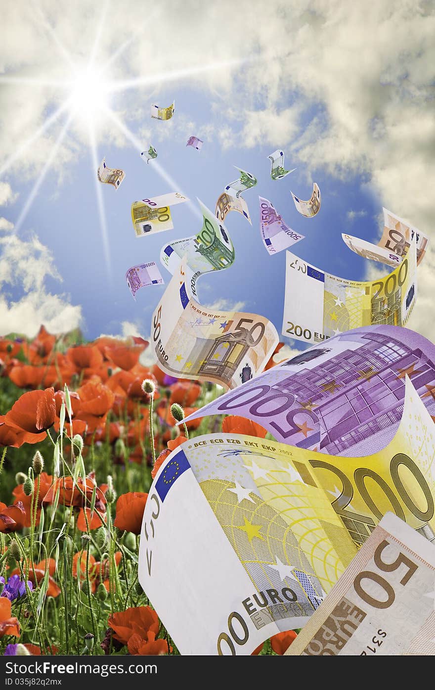 This image shows some banknotes flying over a field of poppies