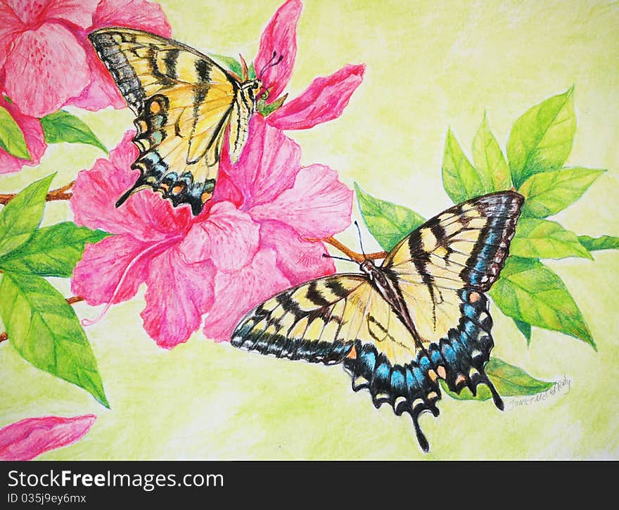 Tiger Swallowtails Illustration