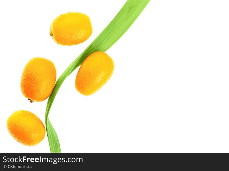 Fresh kumquats and green leaf