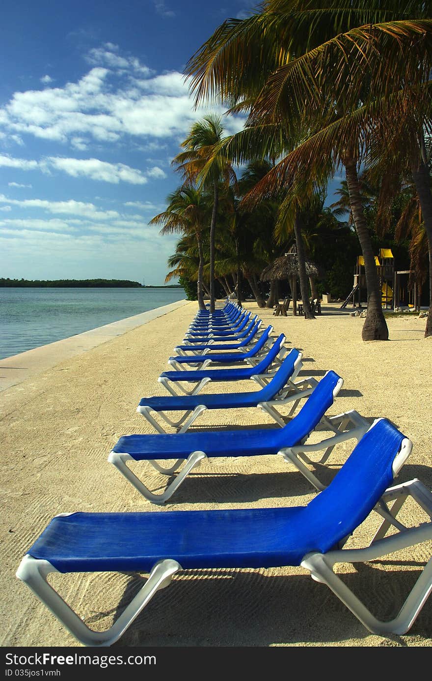 Blue sun chairs on the beach. Blue sun chairs on the beach