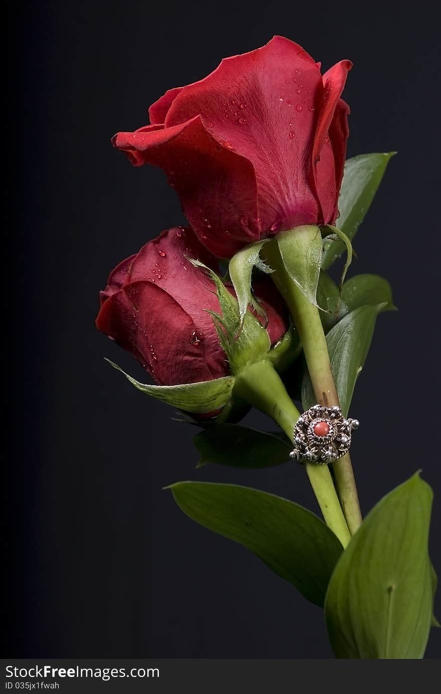 Two roses with a silver ring