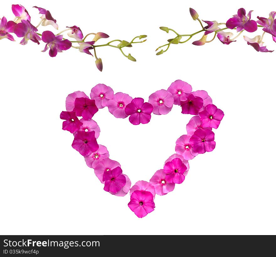 Heart-shaped pink floral frame on white background