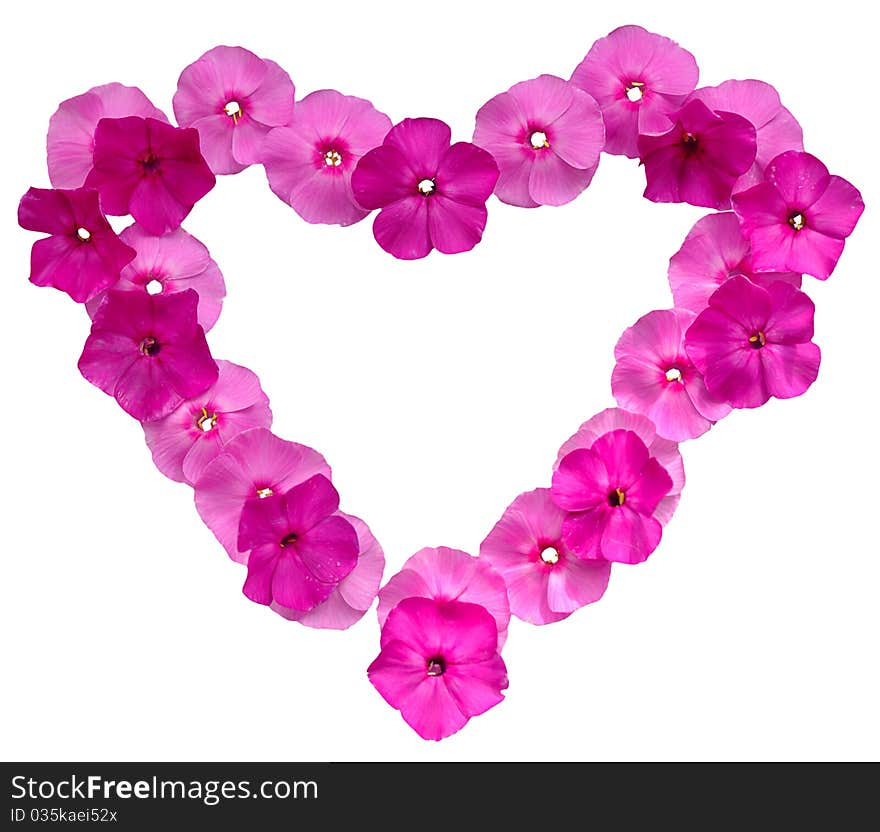 Heart-shaped pink floral frame on white background