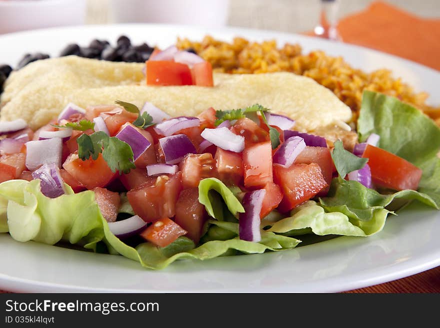 Close Up Salad and Burrito Meal