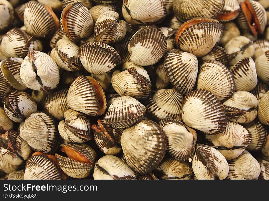 A pile of clams in a fish market. A pile of clams in a fish market