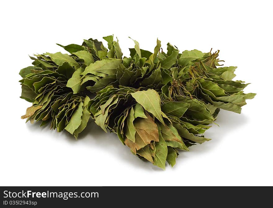 The big sheaf of a bay leaf on a white background