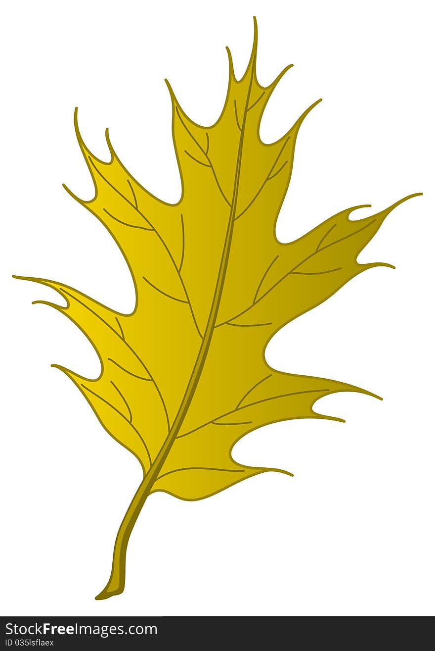 Leaf of an autumn oak Iberian