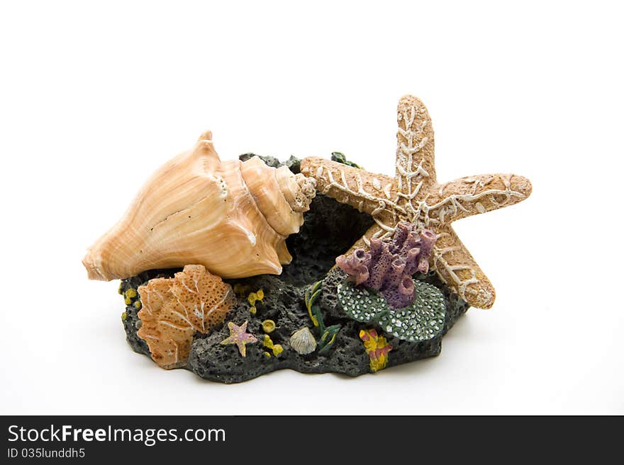 Sea star and mussel