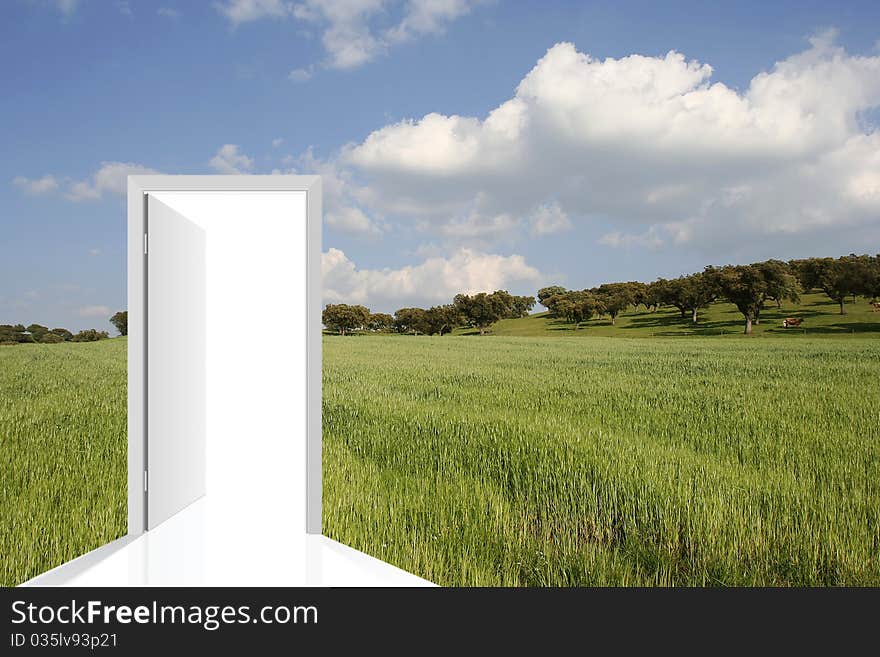 Landscape with a green field and blue sky with a door