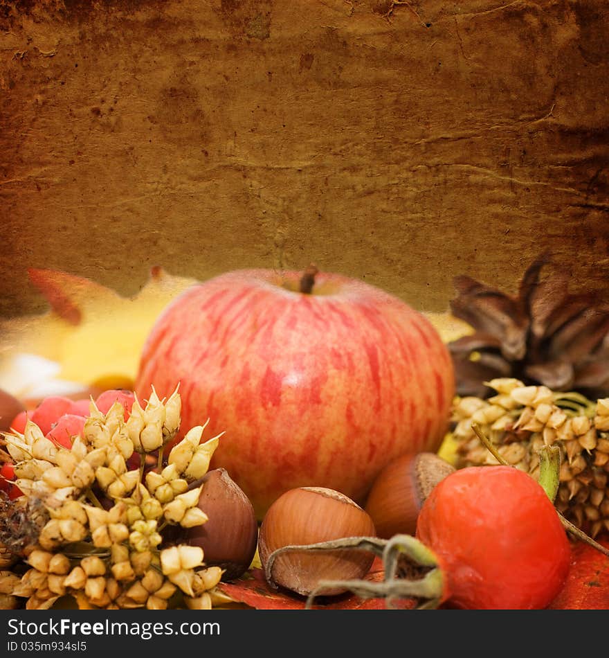 Autumn leaves and fruits. vintage a background