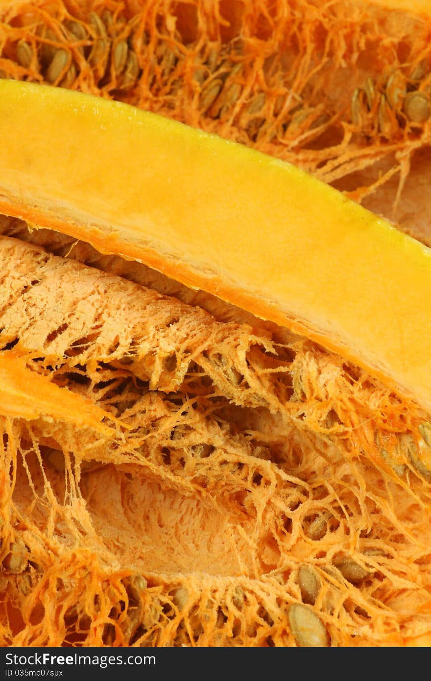 A closeup shot of a fresh pumpkin