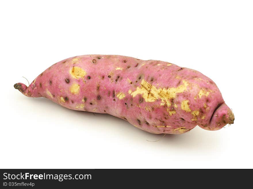 Sweet Potato