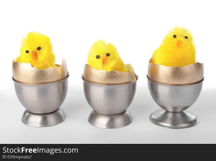 Easter chicks on egg cups over white