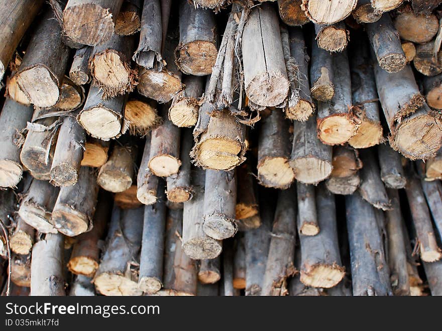 Pile Of Wood In Logs Storage