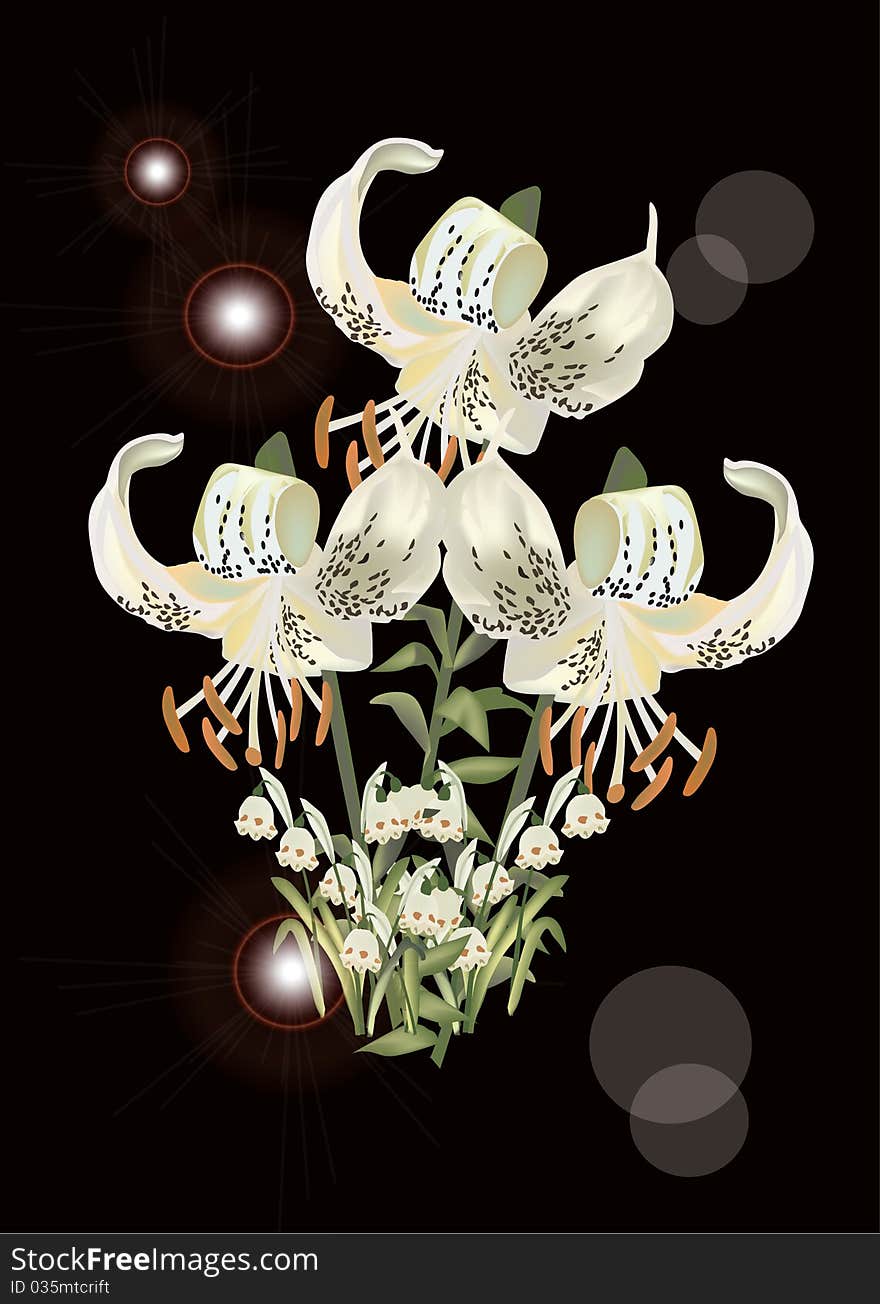 Light Lily Flowers On Black Illustration