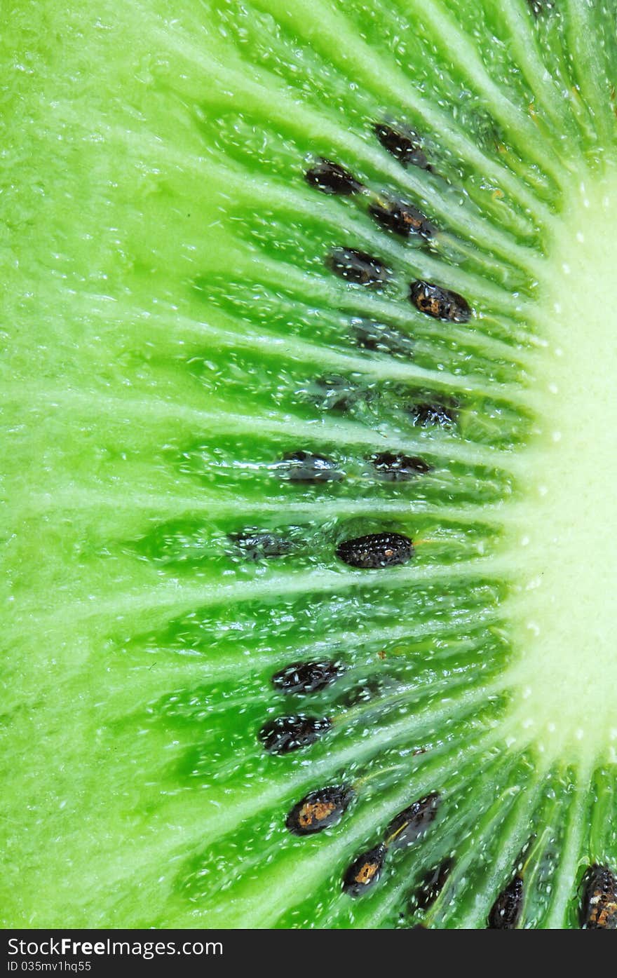 Close up kiwifruit