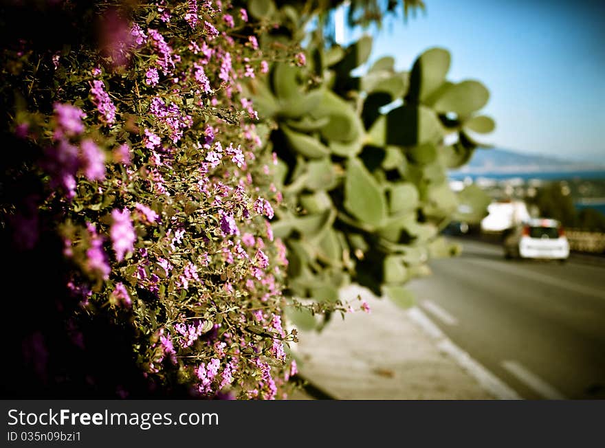 A road of the french riviera