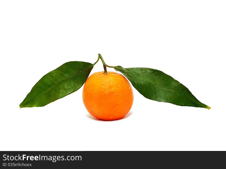 An image of an orange mandarin with green leaves