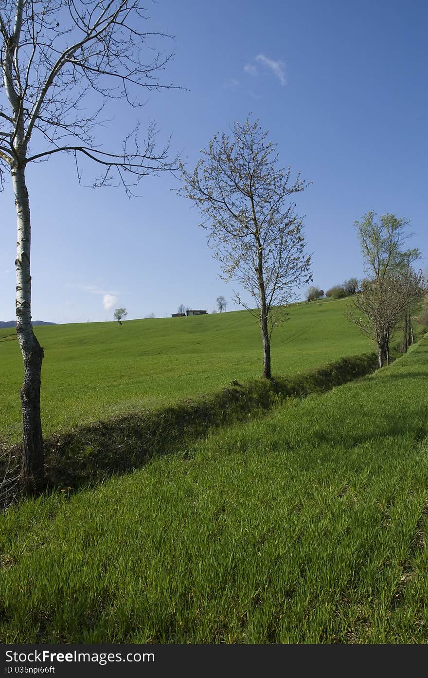 Meadows in the hills