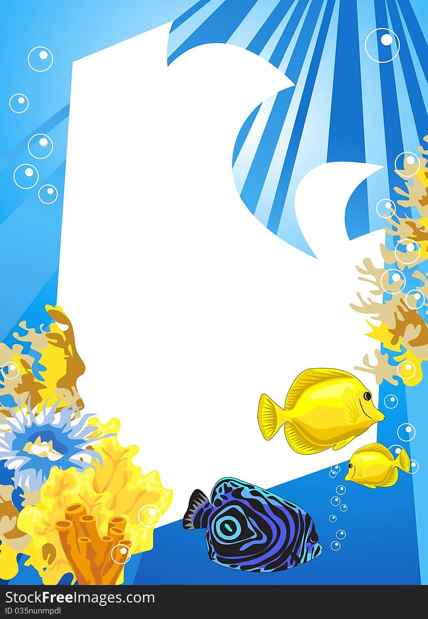 Tropical underwater scene with white space for text. Tropical underwater scene with white space for text