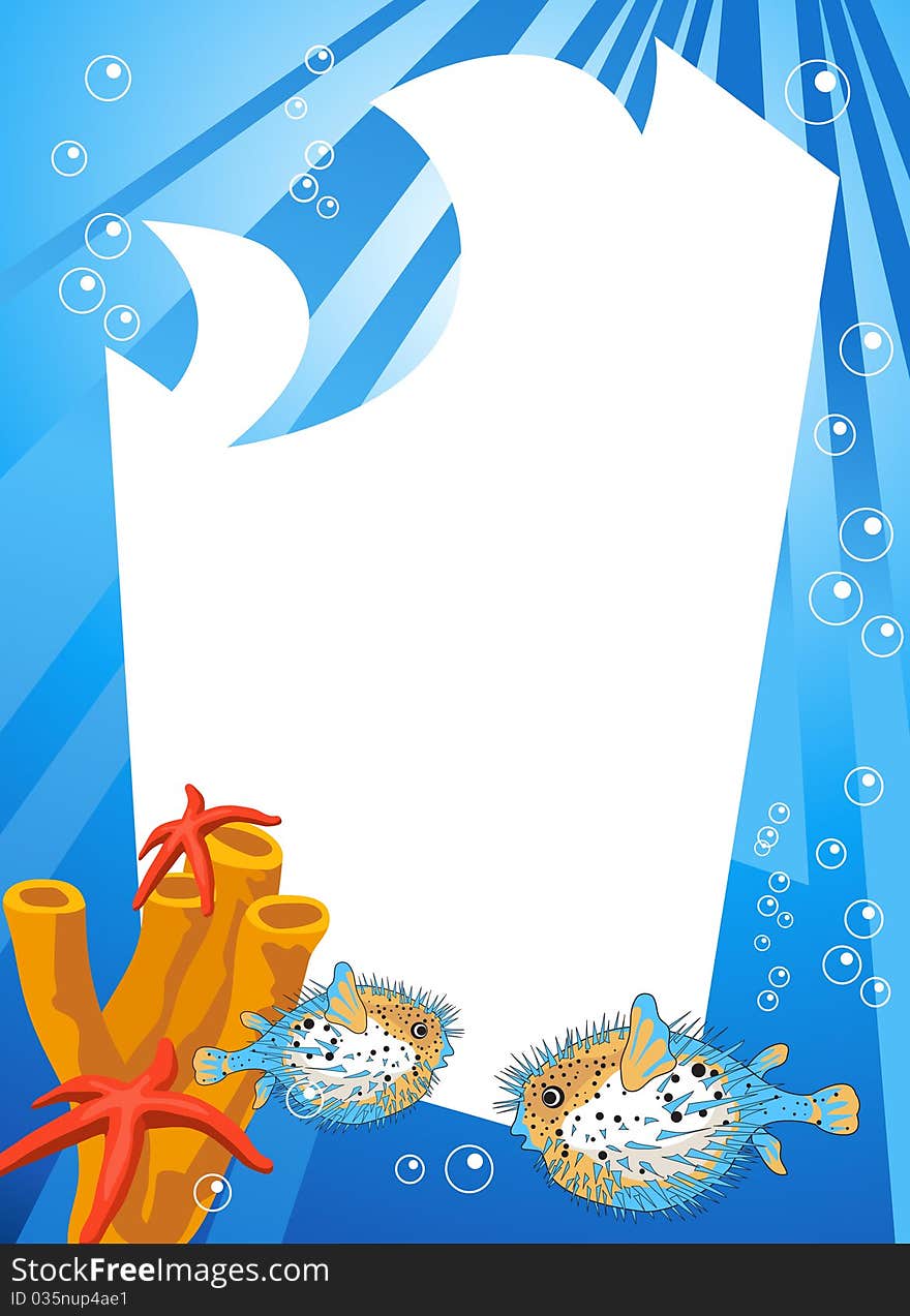 Tropical underwater scene with white space for text. Tropical underwater scene with white space for text