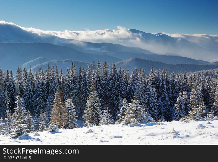 Winter landscape in mountains