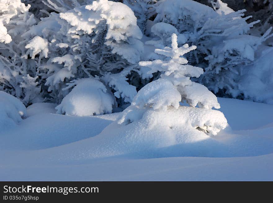 Winter landscape in mountains