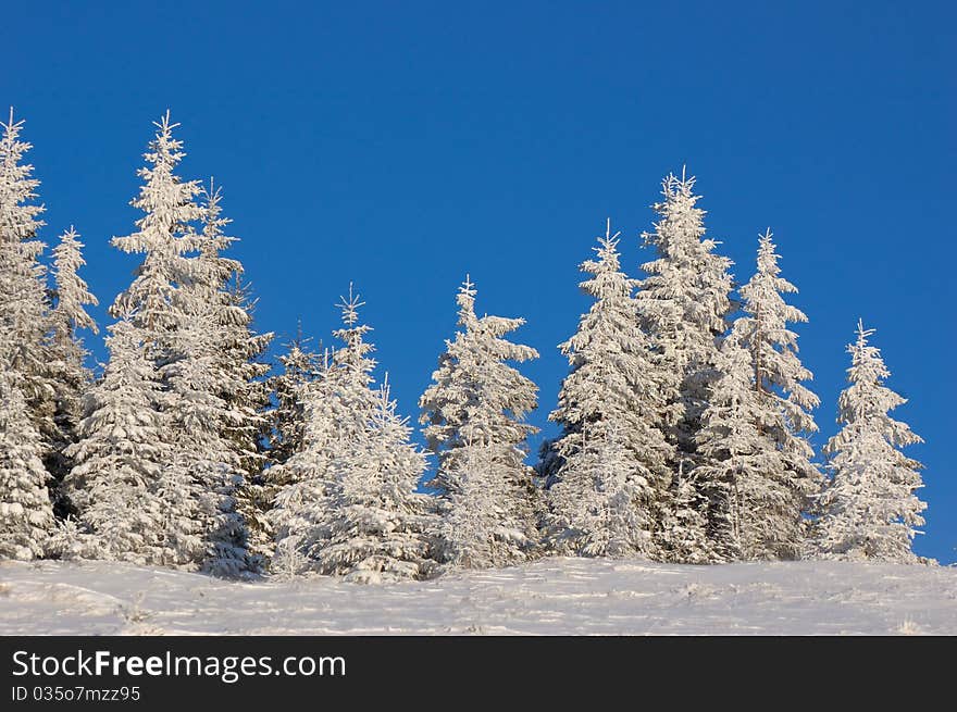 Winter Landscape In Mountains