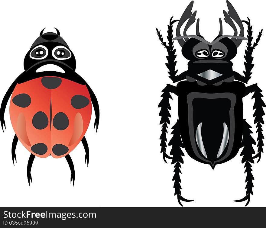 Beetles