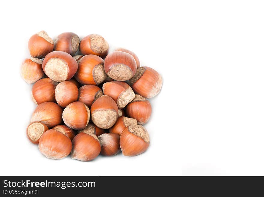 Small group Hazelnut lies on a plate on a white background. A shot horizontal, focus in the shot center