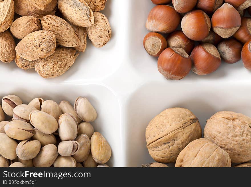 Four kinds of popular nuts lie separately in a white plate on a white background. A shot horizontal, focus in the shot center