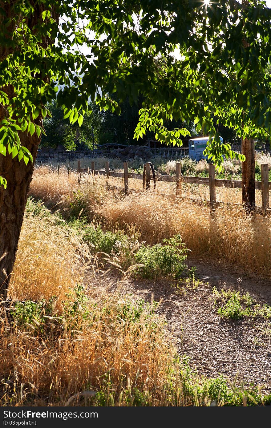 A little lane by a rustic fence in the golden light of a late summer afternoon. A little lane by a rustic fence in the golden light of a late summer afternoon.