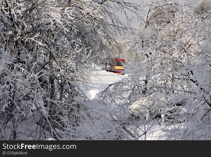 Train in the bush