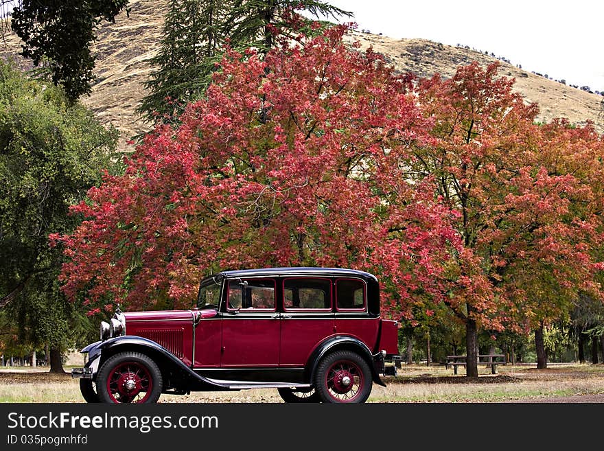 Model A In Front Of A Red Tree