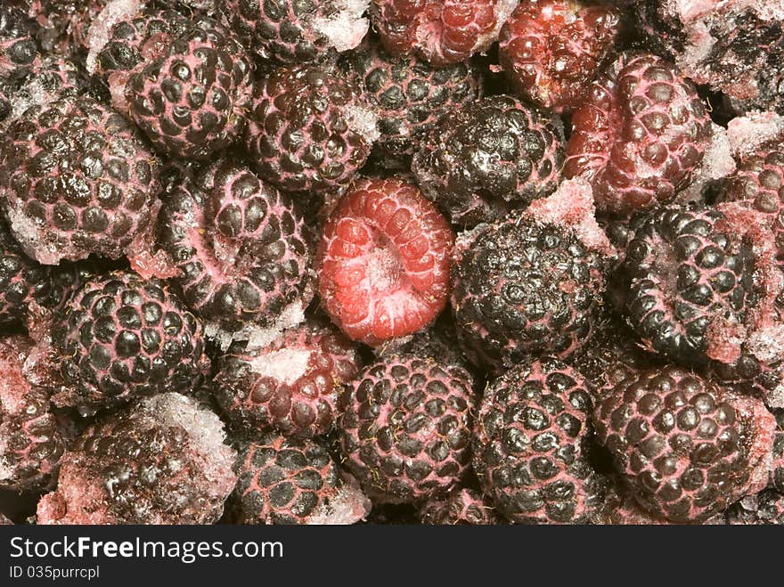 The frozen raspberry and bilberry. Fruit are covered with ice and a snow. The frozen raspberry and bilberry. Fruit are covered with ice and a snow.