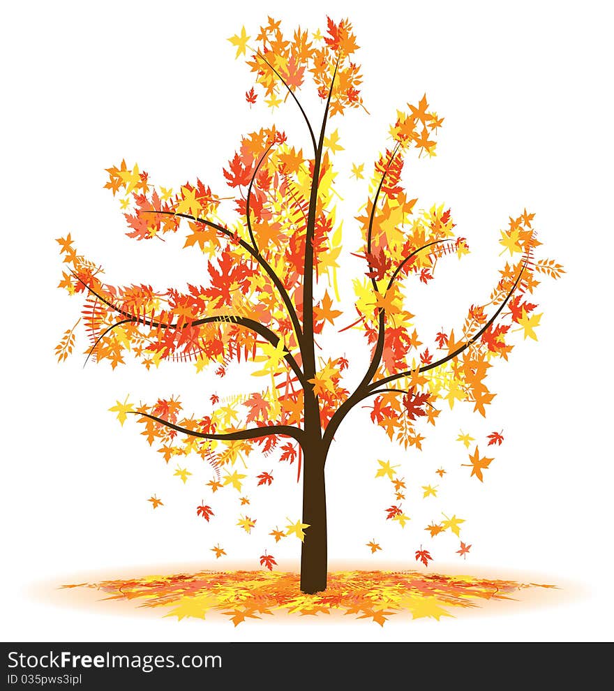 Autumn tree