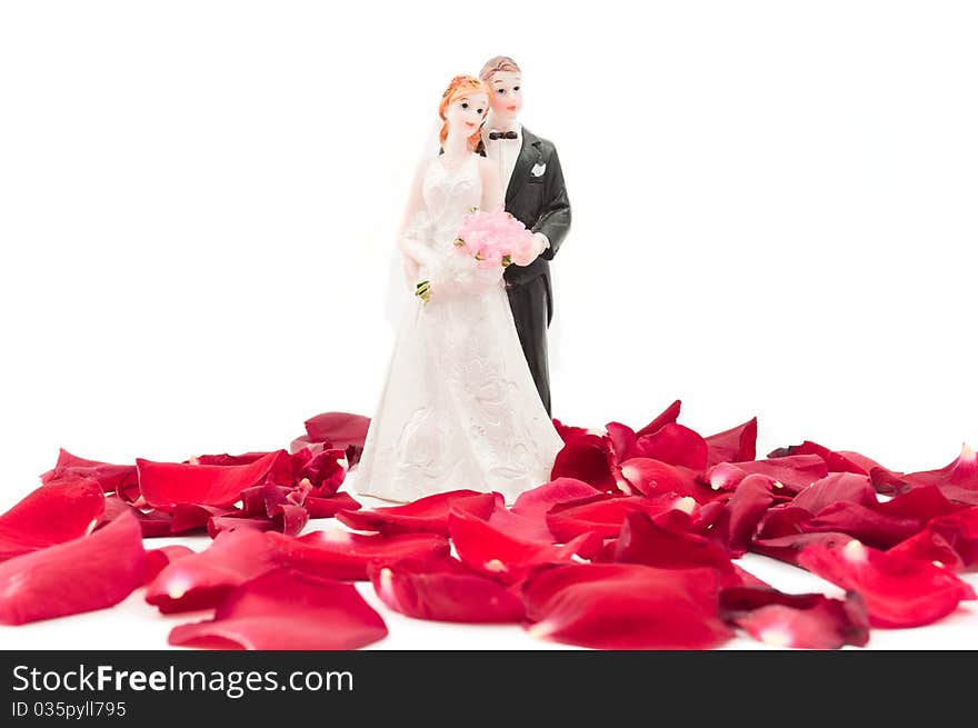 Bride And Groom With Rose Petals