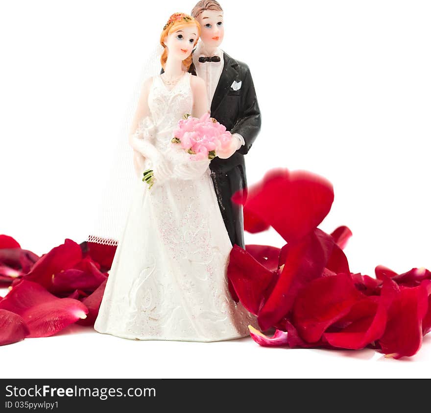 Bride and groom with rose petals on white background