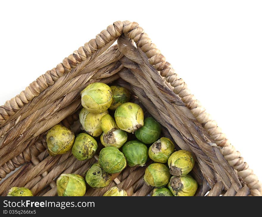 Brussels Sprout