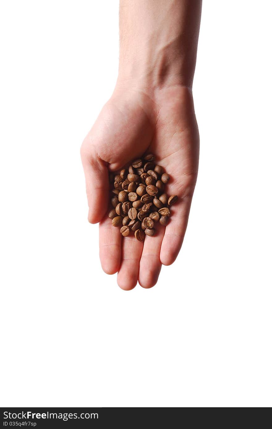 Hand holding coffee beans on white