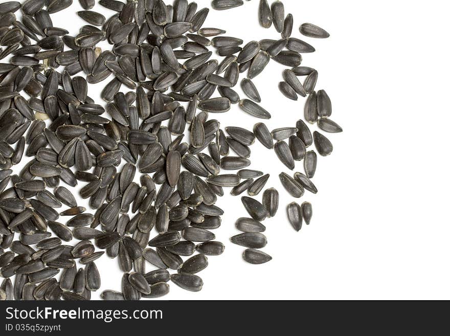 Sunflower seeds